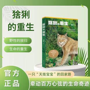 猞猁的重生猞猁救护故事小学生课外读物儿童文学小说