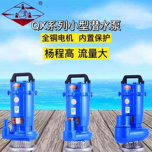 井用抽水机灌溉喷泉潜水泵高扬程农用污泵 杭州西湖家用220水泵