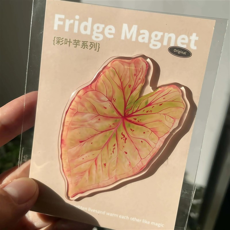 热带珍稀植物磁吸冰箱贴插画 画创意冰箱磁铁夏季冰箱磁铁定制