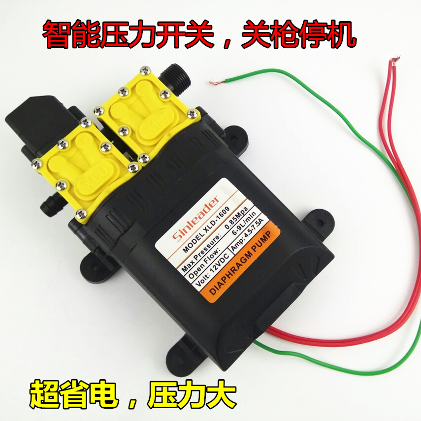 大功率12V双核动力水泵 农用电动喷雾器改装双泵高压 打药洗车