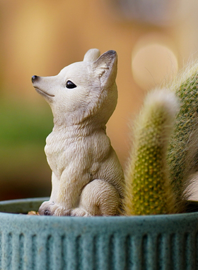 九尾狐狸多肉长毛可爱小尾巴花盆造景装饰品猴尾柱花园微景观摆件