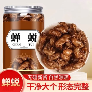 蝉蜕中药材野生蝉蜕的功效蝉衣中药材知了壳蝉蜕500克包邮