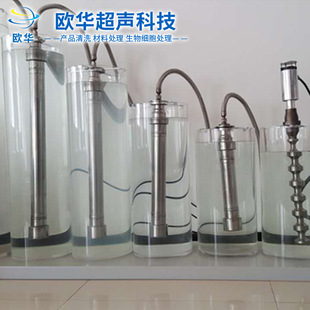 超声波反应釜振动棒 超声波萃取仪 投入式超声波粉碎仪定 制