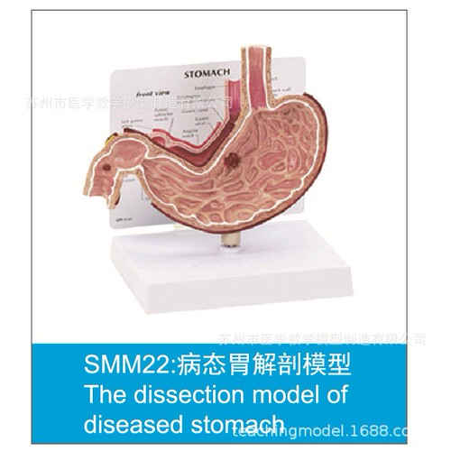 SMM系列促销模型