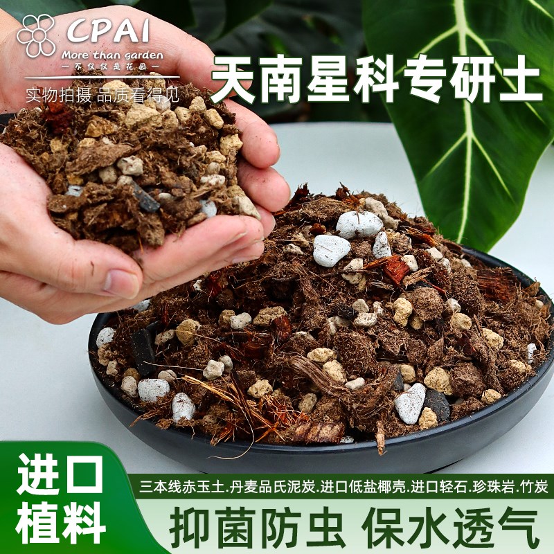 天南星科专用土进口泥炭热植土龟背竹秋海棠蔓绿绒花烛海芋营养土