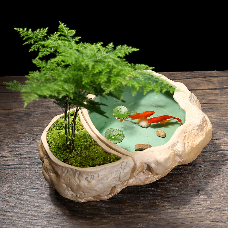 水培碗莲铜钱草花盆陶瓷大号水养植物绿萝器皿多肉盆栽金鱼缸无孔