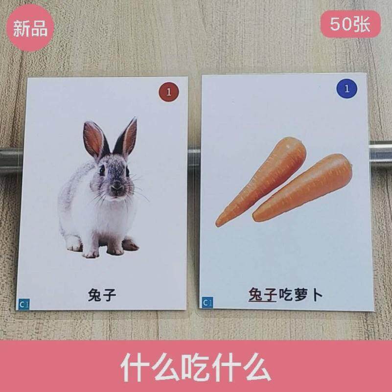 孤独症自闭症个训教具儿童认知理解卡片康复训练教材动物吃什么卡