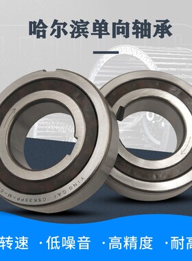 单向轴承CSK8/10/CSK12/15/17/CSK20/25/30/35/40PP 带内外槽