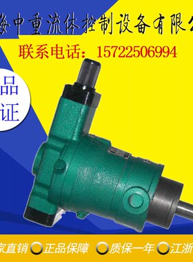 10YCY 25YCY 40YCY 63YCY 80YCY 100YCY 160YCY14-1B上海柱塞油泵