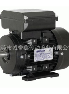供应BUSCK电机T2A112L-4 4.0KW  原装意大利马达T2A132L-4 7.5KW