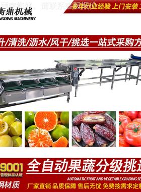 圣果分选流水洗线 产品清风干分级生产PNZ线 小女青柑清洗农机筛