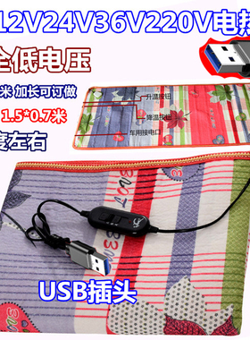 低压电压12V24V36V220V5伏yUSB低电压电热毯USB车载48V60V电褥子