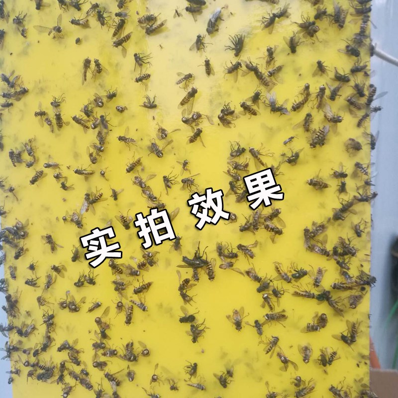 黄色粘虫板双面诱虫板强力w粘板蓝板蓟马果园大棚防虫板黏虫板