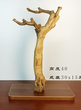 一物一拍 创意树枝毛笔架 首饰展示架