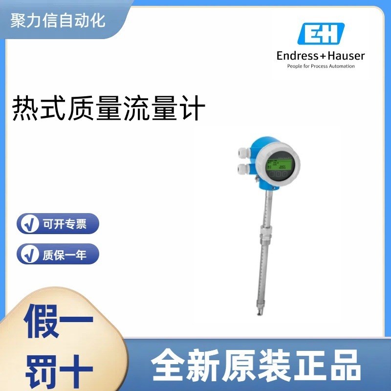 FM53-1J2L8/0=FM53-AA21JA1GA153+AAPO 恩德斯豪斯E+