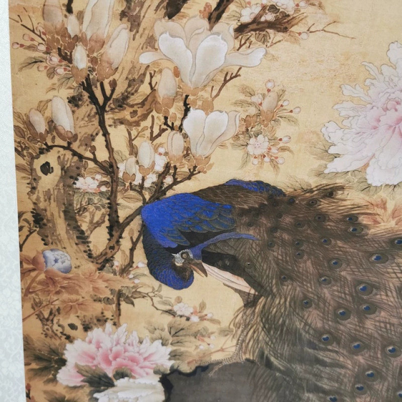沈铨 孔雀玉兰牡丹图 复古书画竖幅挂轴国画微喷仿古复制临摹装饰