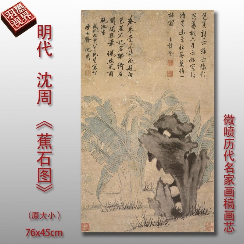 明代沈周蕉石图微喷打印水墨山石花草高清临摹画稿底稿复制画心