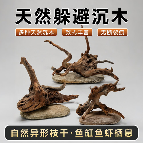 躲避沉木杜鹃根紫柚木鱼缸造景用