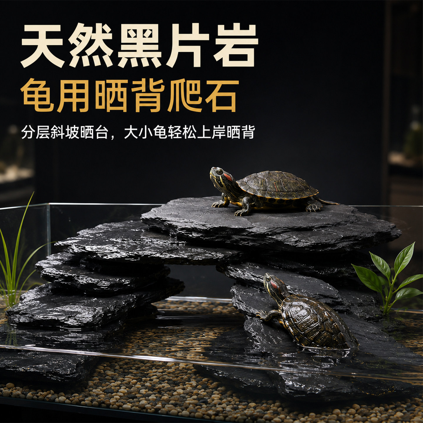 黑片岩乌龟缸晒背爬台底砂造景图片