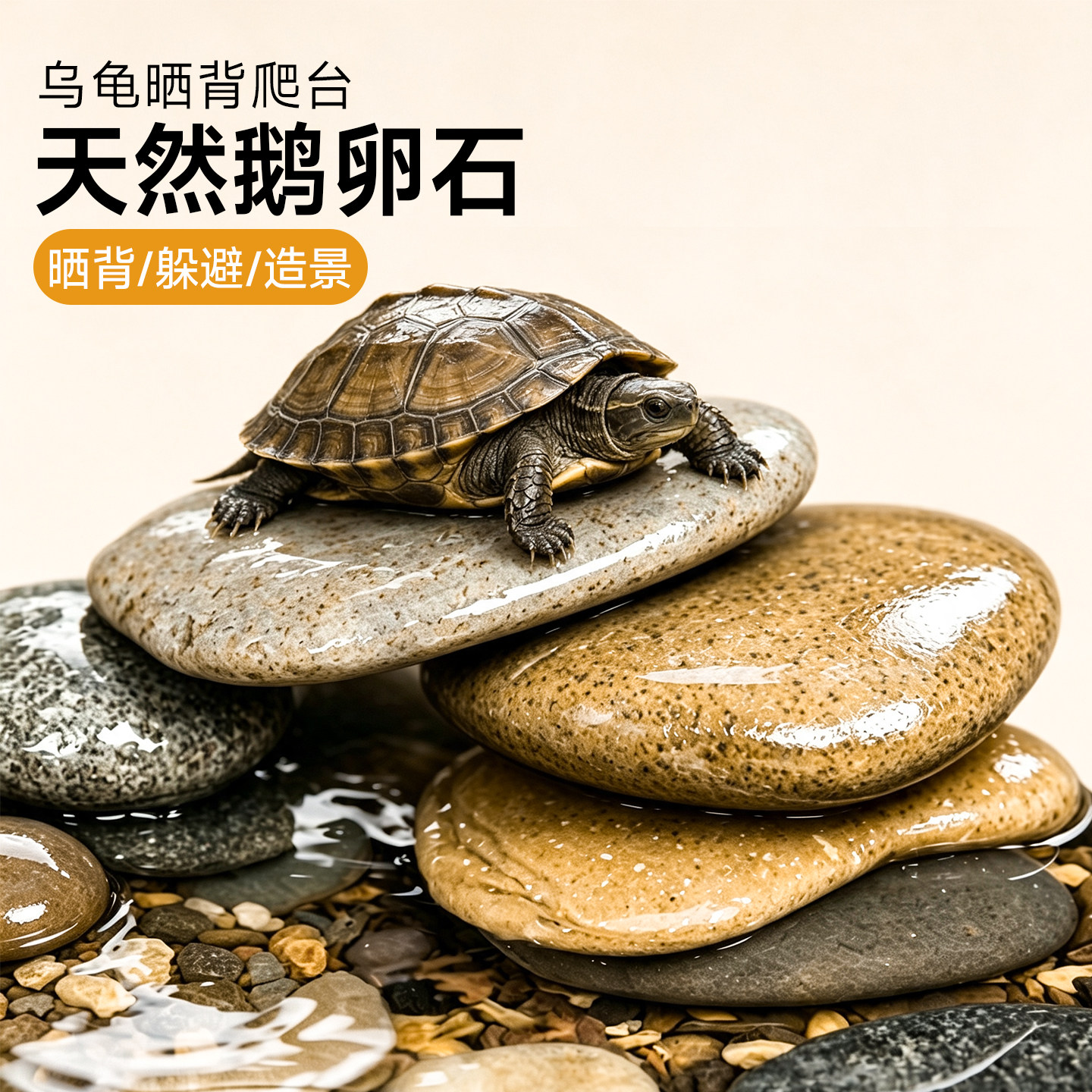 天然溪流乌龟缸晒背爬台躲避图片