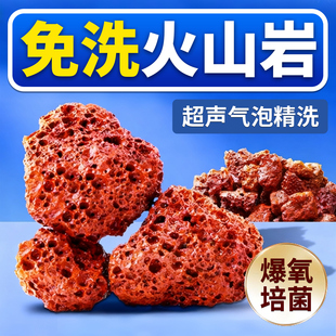 火山岩鱼缸造景专用底砂石头乌龟缸养鱼天然免洗底部砂石颗粒滤材