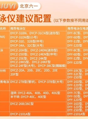 北京六一 DYCP-31BN 琼脂糖电泳设备 水平电泳槽 电泳仪