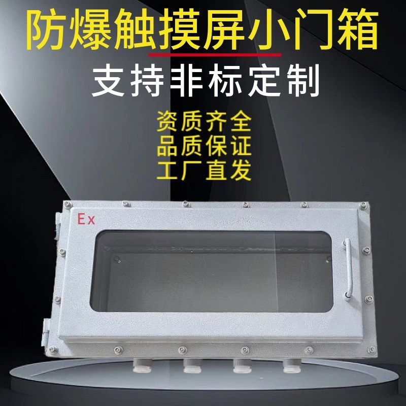 防爆仪表控制箱触摸屏配电箱玻璃可视窗观察电表箱开关按钮接线箱