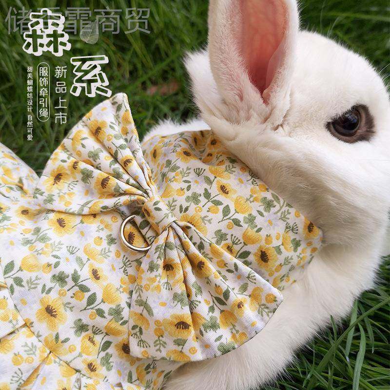 宠物出兔子耳衣服牵引PZJ绳兔幼猫猫咪垂兔兔服饰游萌趣,鲜花速递/花卉仿真/绿植园艺,洒水/浇水壶,淘宝优惠券,粉丝福利购,淘宝优惠卷