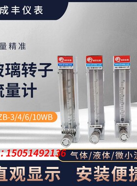 常州成丰玻璃转子流量计LZB-3WB/4WB/6WB/10WB气体液体3WBF/4WBF