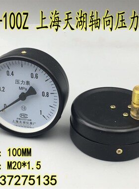 天湖Y-100Z轴向不带边压力表0-1 1.6 2.5MPA背接水压气压真空表