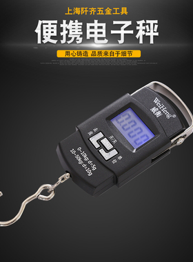 高精度手提电子秤家用50kg小型迷你便携式弹簧快递称挂钩买菜小称