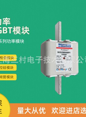 全新熔断器保险丝质保一NH0GG50V80/C219284 NH0GG50V100/D219814