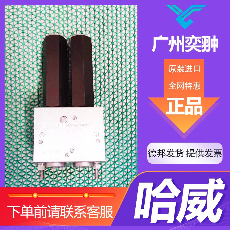 哈威HAWE进口LHDV 33 P-11-E5-85平衡阀LHDV系列