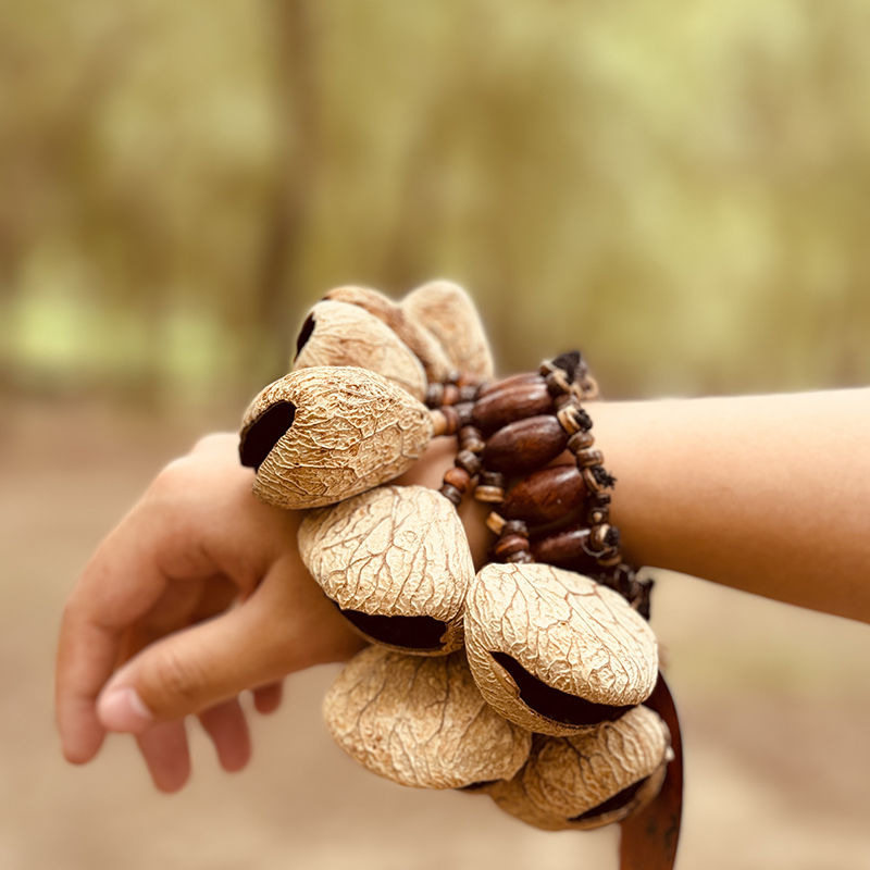 手工果壳手串天然果壳手摇铃非洲鼓打击伴奏手铃果实排铃乐器果壳