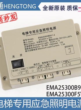 电梯专用应急照明电源EMA25300F5/B9/M3 V1.2奥的斯SWEET江南快速