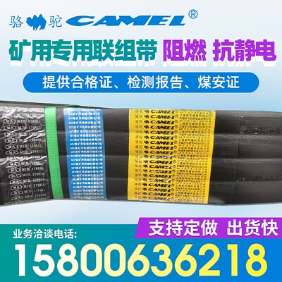 上海骆驼牌煤矿专用联组带阻燃抗静电8V5080-4L SPC5600-4L 5380