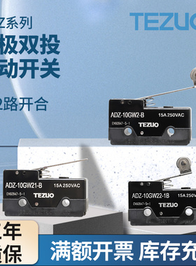 特佐微动开关小行程DZ-10GW-B两常开两常闭两路开合双极双联21-B
