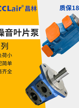 2520V双联3525V威格士型4535V叶片油泵20V3A-1A B C-22R 25V10A14