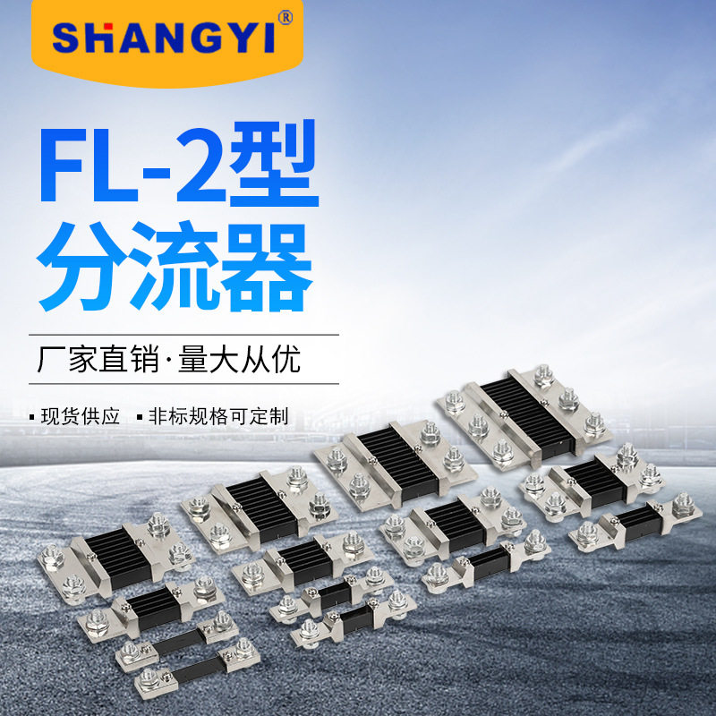 FL-2-B型系列 10A-2000A 外附分流器