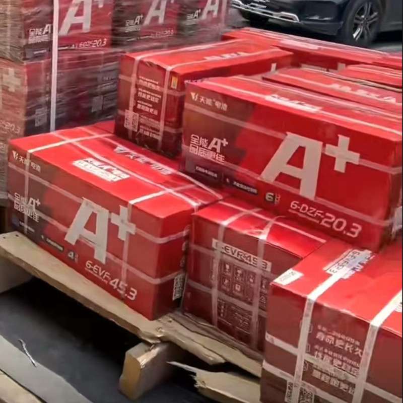 24伏20安 轮椅用电瓶 24V系列6-DZF-20 12V20AH_天能蓄电池 现货