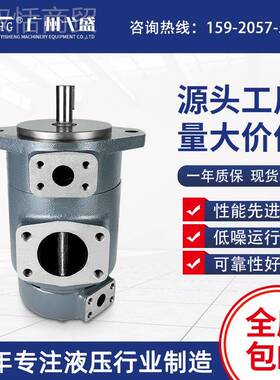 SQP1-21-6-1B/1AC2/1ADNGA-1D8电动双联高压定量叶片油泵液压泵油