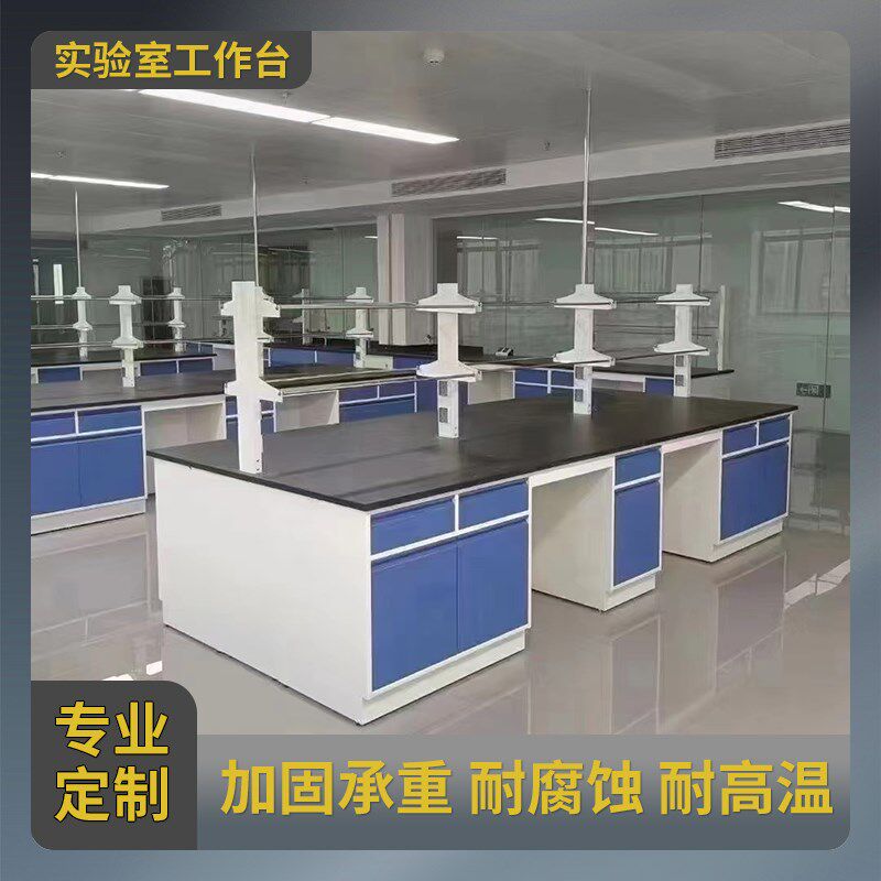 钢木实验台实验室全钢工作台化验室操作台PP中央台边台试验定制
