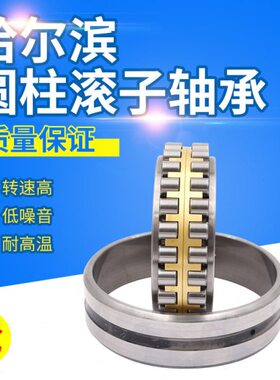 HRB哈尔滨圆柱滚子轴承N NJ NU  232 234 236 240 244 248 EM/C3