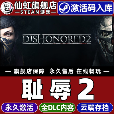 Steam正版耻辱2激活码CDKey游戏