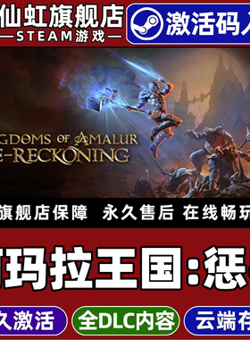 Steam正版阿玛拉王国惩罚激活码CDKey入库全球区国区Kingdoms of Amalur Re Reckoning全DLC电脑角色扮演游戏