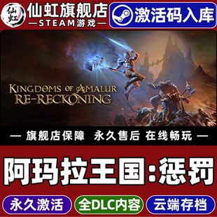 Steam正版阿玛拉王国惩罚激活码CDKey入库全球区国区Kingdoms of Amalur Re Reckoning全DLC电脑角色扮演游戏