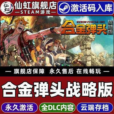 Steam正版合金弹头战略版激活码