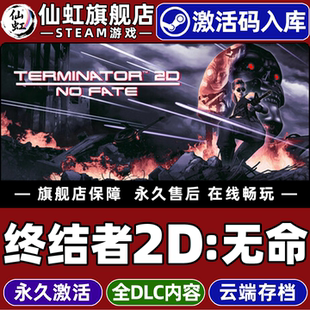 Steam正版终结者2D无命 激活码CDKey入库全球区国区Terminator 2D: NO FATE全DLC电脑PC单机动作街机格斗游戏