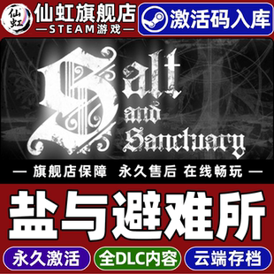 Steam正版盐与避难所 激活码CDKey入库全球区国区 Salt and Sanctuary 全DLC单机电脑PC类银河战士恶魔城游戏