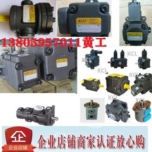 2R00 B05 台湾凯嘉KCL油泵KT7BS 1R00 B03 B04 4R00 B02 3R00
